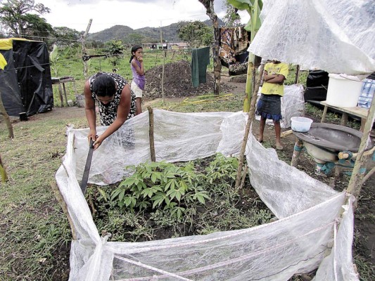 Medio centenar de familias invaden área verde en Danlí