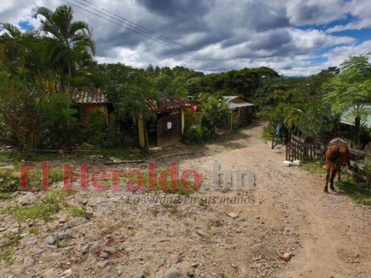 EL HERALDO visitó la aldea San Luis, zona del crimen de Francisco Gaitán (FOTOS)