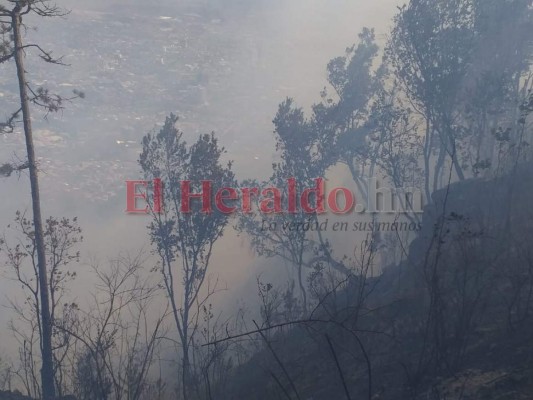 Las imágenes del incendio que afectó consulado de Portugal en El Hatillo