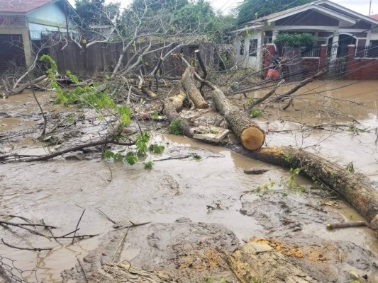 FOTOS: Un Valle de Sula anegado se prepara para más inundaciones