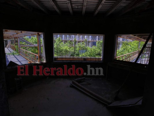 En selva y hábitat de serpientes se convirtió la megacárcel de Naco (Fotos)