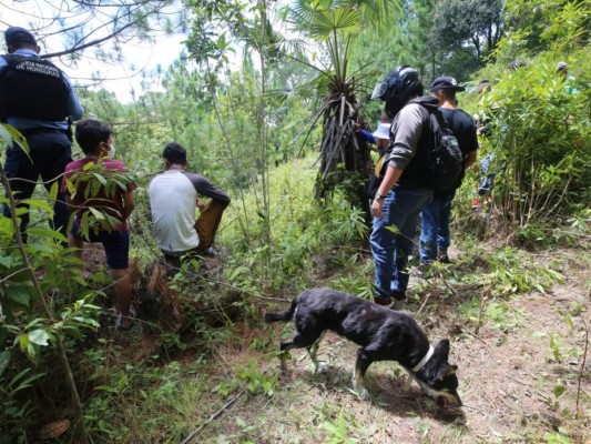 Hallan cadáver decapitado en aldea Limones, sector de La Tigra