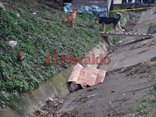 Encuentran un hombre sin vida cerca del crematorio municipal de la capital