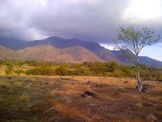 Las Fotos de los Lectores