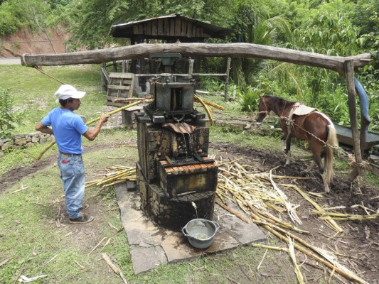 Taulabé y San José conforman la tierra del dulce de panela