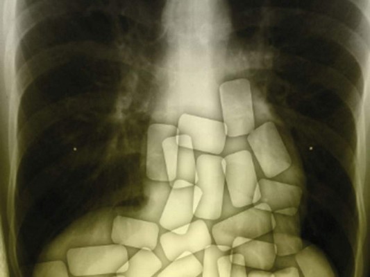 Juicio a 4 personas en España acusadas de dejar morir a una mula para recuperar cocaína