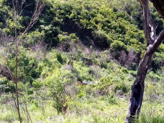 FOTOS: Las imágenes que dejó la caída de un vehículo a un abismo de La Paz
