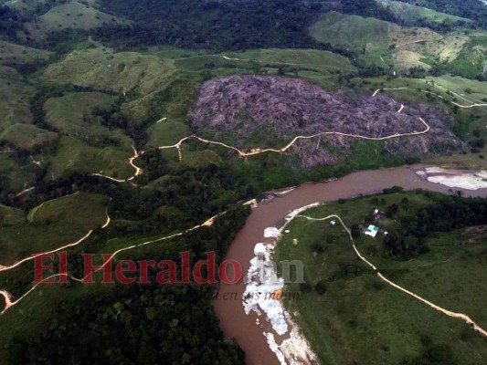 Destruyen el pulmón más grande de Honduras y construyen carretera clandestina (FOTOS)  