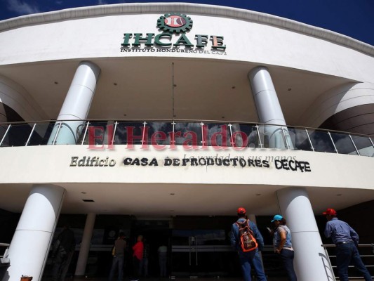 El TSC inicia auditoría de 20 millones de dólares en Ihcafé