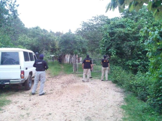 Al menos 30 detenidos tras operativos realizados en Honduras