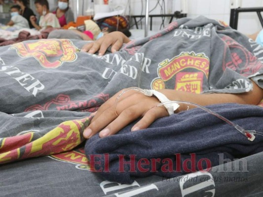 Hondureños vulnerables al dengue por circulación de otros serotipos