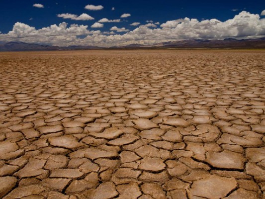 Las perturbadoras profecías de la vidente Baba Vanga para 2022