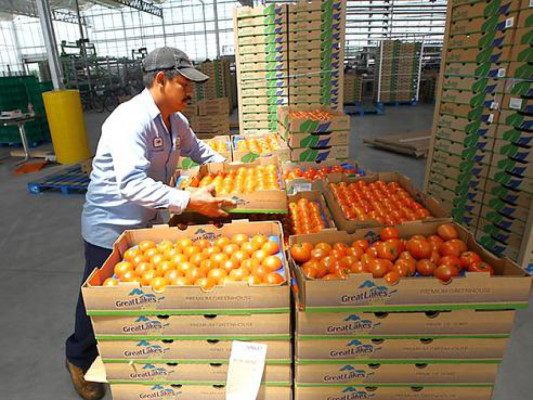 Desempleados con opciones casi nulas de trabajo fuera de Honduras