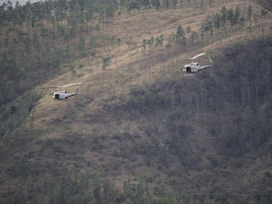 Desmantelan narcolaboratorio y destruyen plantación de supuesta coca en Colón