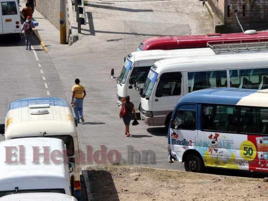 En agosto inicia pilotaje del transporte público en Honduras