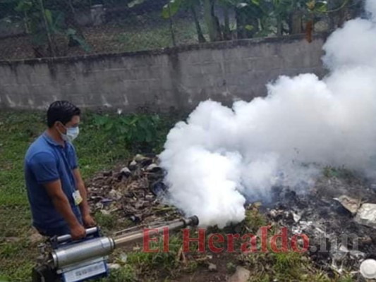 Más fondos para atender el dengue en Comayagua