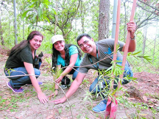 Dale un 'stop' al cambio climático
