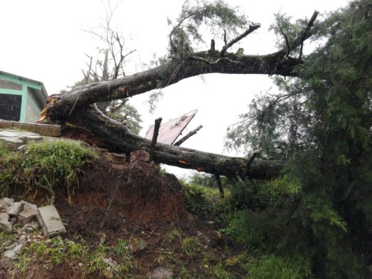 Miles de evacuados por lluvias que azotan a Honduras