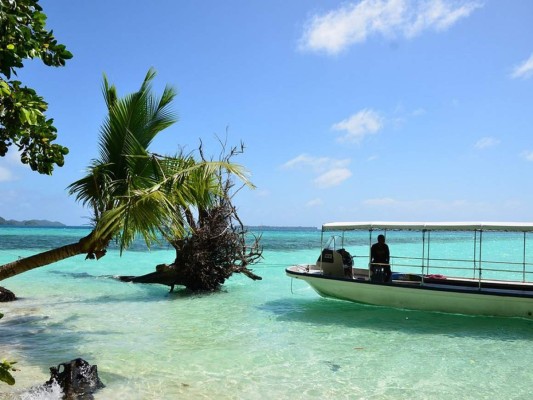 Países sin casos de covid-19 que también sufren las consecuencias