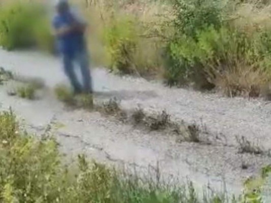 Captan momento en que campesino pirómano causa pavoroso incendio en Italia&nbsp;&nbsp;
