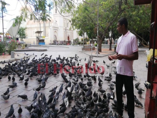 FOTOS: Ventas ambulantes, protestas y desalojos, hondureños no acatan medidas