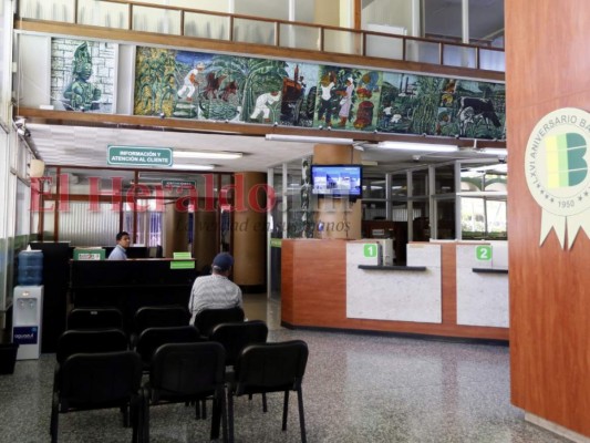 El Congreso Nacional en busca de técnicos para definir el futuro de Banadesa