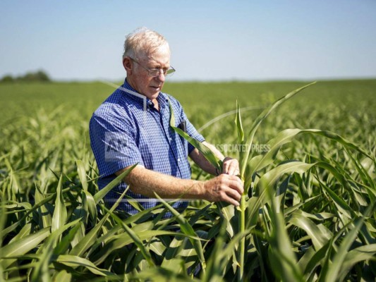 Inmigración, tarifas: Panorama sombrío para el campo en EEUU