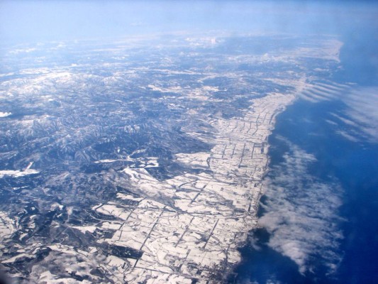 Niño se pierde en bosque de Japón luego de un insólito castigo de sus padres
