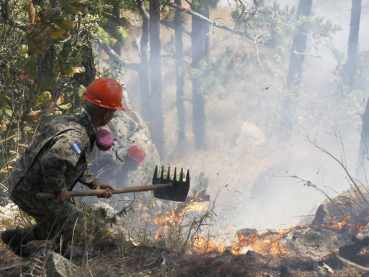 Mil nuevos elementos de las Fuerzas Armadas respaldarán campaña Verano Seguro