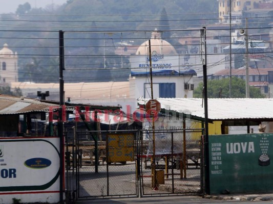 Una capital que deprime: Humo de incendios, racionamientos de agua y confinamiento