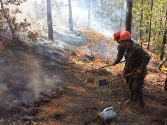 Continúan los incendios, esta vez en la aldea Zarabanda de Santa Lucía