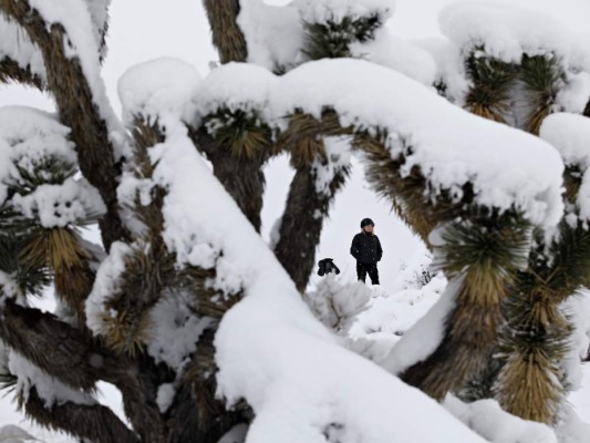Cae nieve en Las Vegas por primera vez en una década
