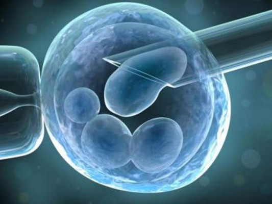 Niños con ADN de tres personas crecen normalmente