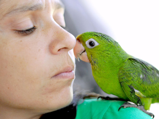 Tráfico de animales salvajes, un comercio más que lucrativo