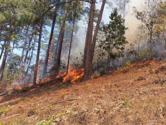 Continúan los incendios, esta vez en la aldea Zarabanda de Santa Lucía