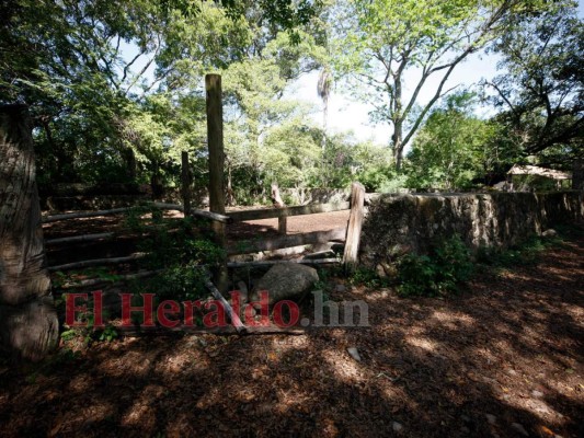 En abandono Jupuara, la hacienda donde vivieron Morazán y María Josefa
