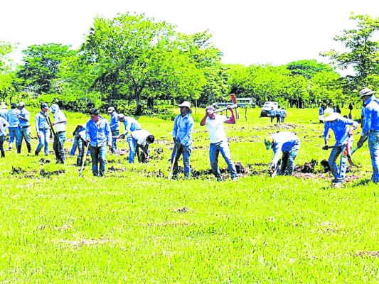 Honduras: La UNA llama a clases en medio de la crisis