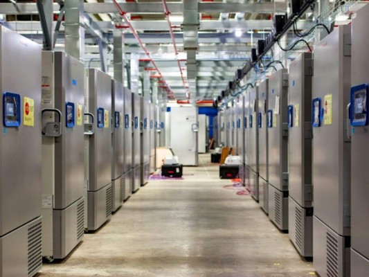 ¿Cómo se desarrollará el plan de vacunación contra el covid-19 en Honduras?