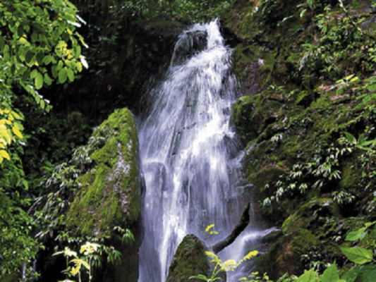 Un reino natural impresionante