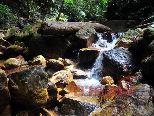 Pulmones del Distrito Central muestran la impresionante belleza de la naturaleza