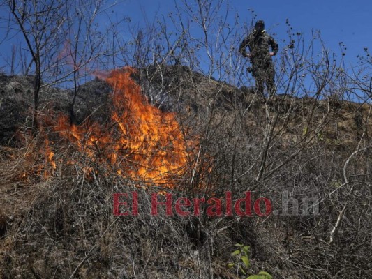 Sofocan voraz incendio en la Aldea El Lolo de la capital