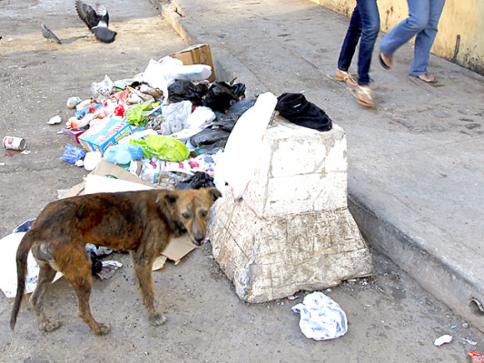 Barrenderos madrugan a recoger la basura de 2011