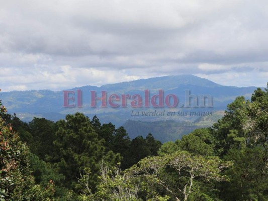 Francisco Morazán y Comayagua, dos departamentos repletos de atractivos turísticos en Honduras