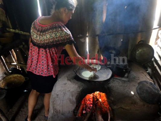 Alrededor de 1.4 millones necesitan de asistencia alimentaria en el Corredor Seco de Centroamérica