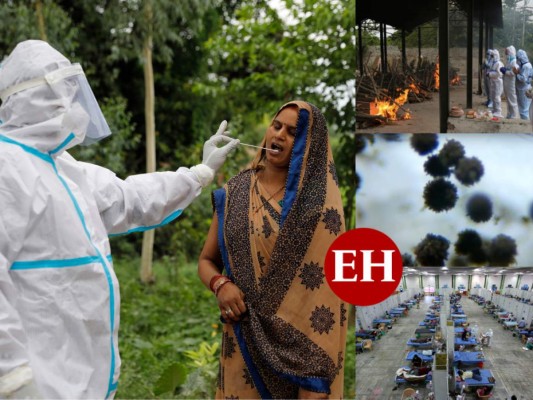 Todo lo que debe saber sobre el hongo negro y por qué los diabéticos están en riesgo