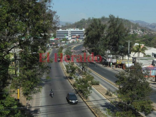 Unos con hambre, otros con miedo, capitalinos se encierran por coronavirus