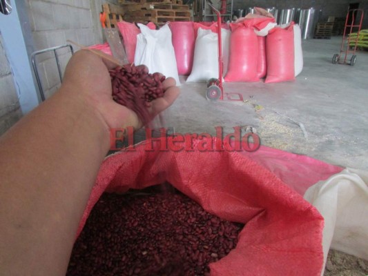 Buscan ampliar el mercado de granos básicos en El Paraíso