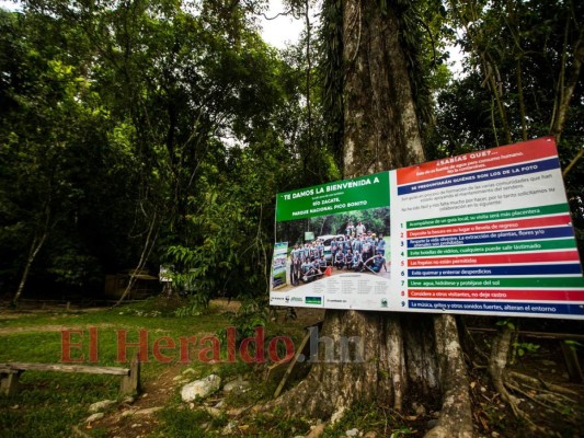¿Por qué la actividad volcánica es poco probable en Pico Bonito?