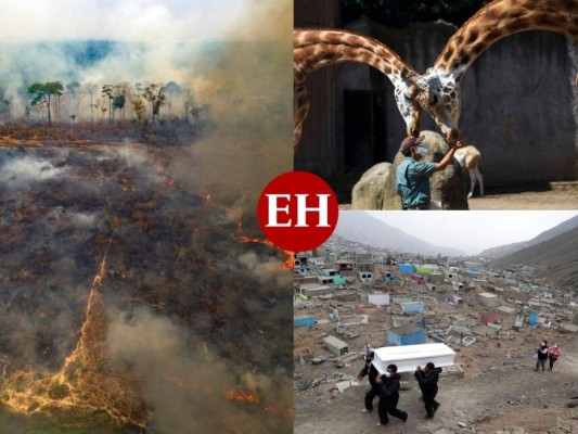 Las 10 mejores fotos que marcaron América Latina esta semana