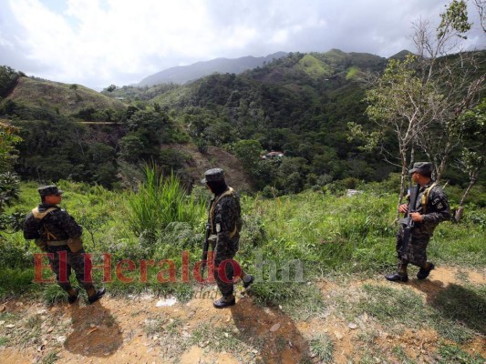 Destruyen el pulmón más grande de Honduras y construyen carretera clandestina (FOTOS)  